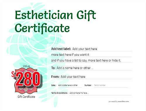 esthetician   gift certificate style9 green template image-206 downloadable and printable with editable fields