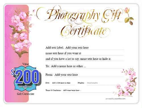  photography  gift certificate style8 pink template image-70 downloadable and printable with editable fields