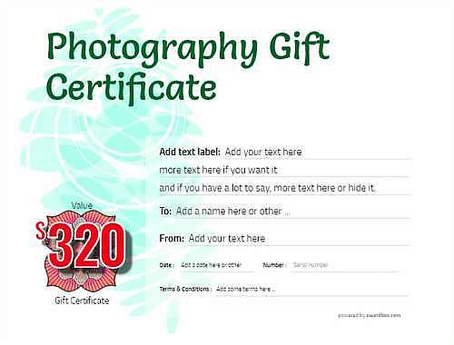 photography  gift certificate style9 green template image-76 downloadable and printable with editable fields