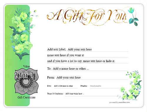 Hot air balloon gift certificate style8 green template image-409 downloadable and printable with editable fields