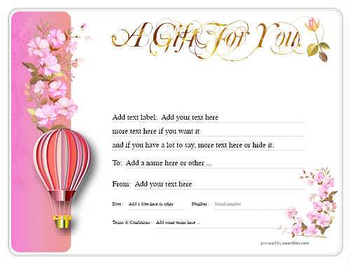 Hot air balloon gift certificate style8 pink template image-408 downloadable and printable with editable fields