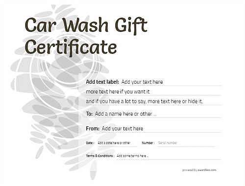 car wash gift certificate style9 default template image-231 downloadable and printable with editable fields